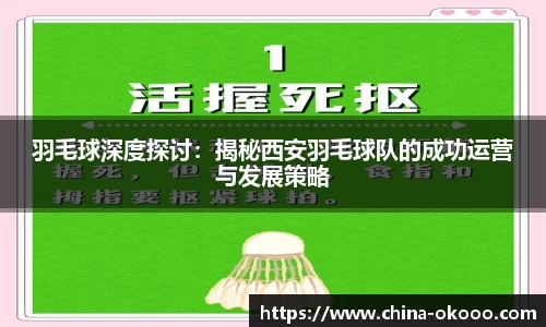 羽毛球深度探讨：揭秘西安羽毛球队的成功运营与发展策略